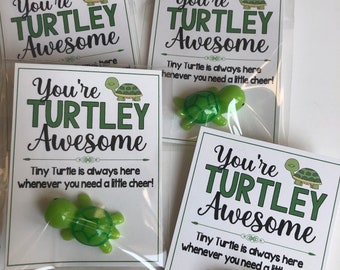 May include: Four white cards with green turtle figurines attached. Each card reads "You're TURTLEY Awesome" with the text "Tiny Turtle is always here whenever you need a little cheer!"