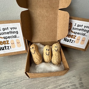 DEEZ NUTZ- funny Gag Gift box , silly prank goody bags, Birthday, co-worker, neighbor, unique gift, Mom, funny bag silly redneck hillbilly