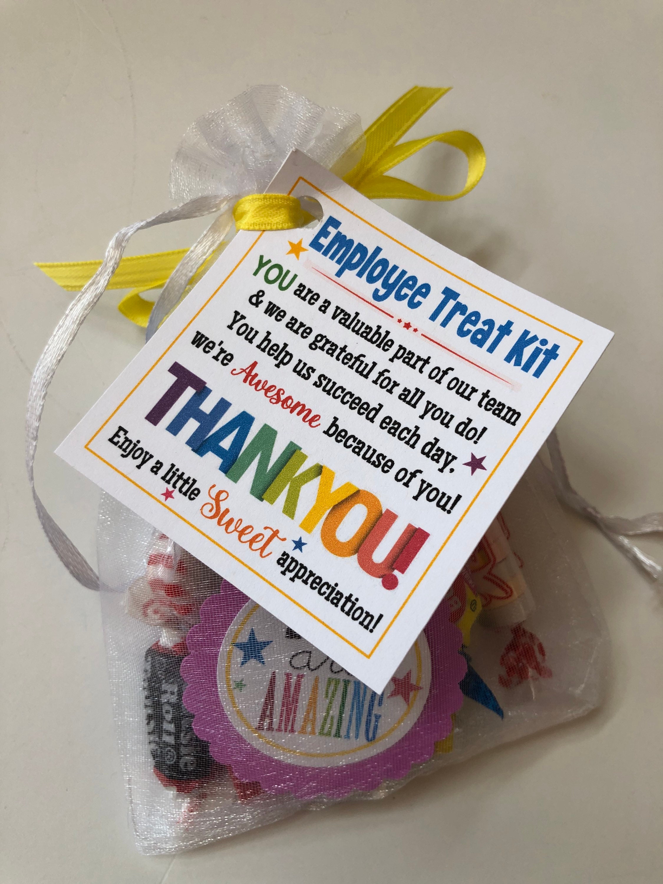 Sweetude 6 Pcs Employee Appreciation Social Worker Gifts Thank You