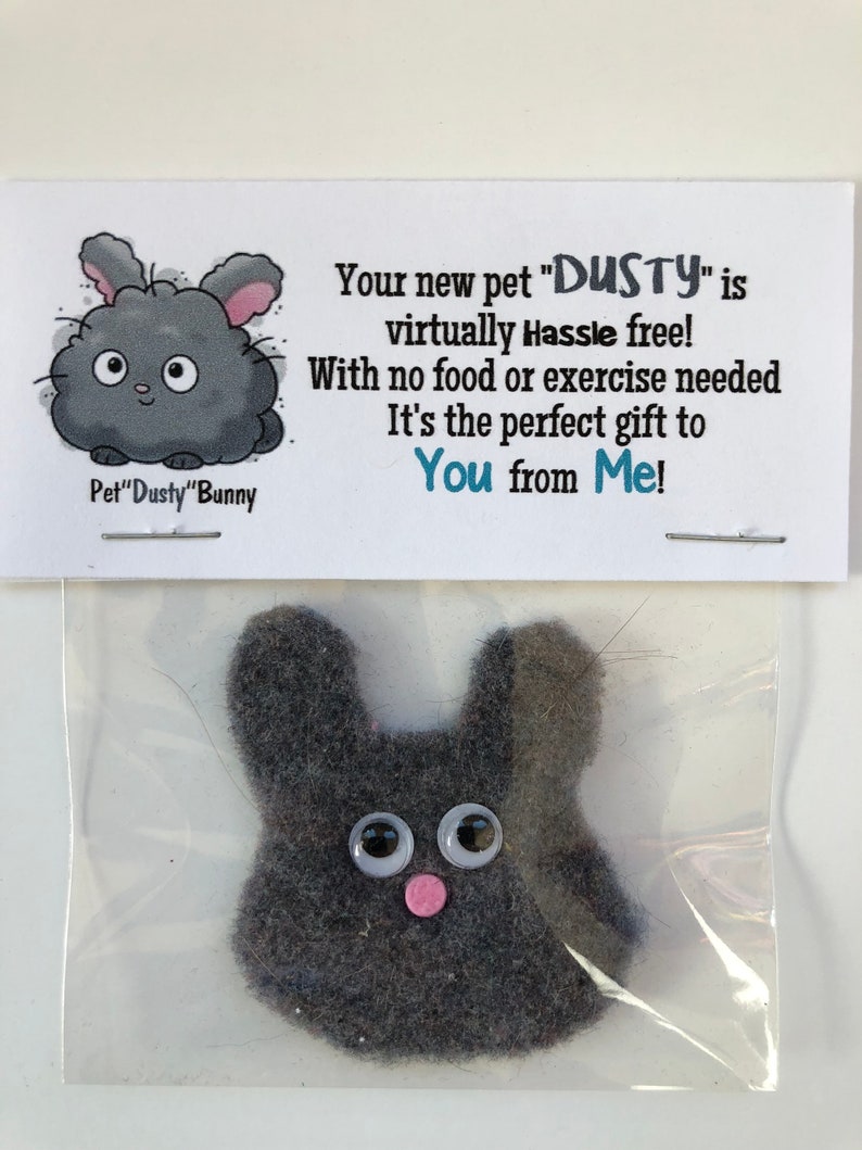 Gag Gift Bags PET Dust BUNNY DUSTY Hilarious Birthday Etsy