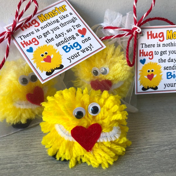 HUG MONSTER - Sweet Thoughts gift bag, Kids, children, anxiety, calming, goody bags, stocking stuffers, secret santa, lucky charm, fit HUGS