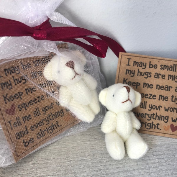 BEAR HUG gift bag - small - sweet thoughts gift, mom, friends, Teacher, gift for co workers, friend, Jointed tan plush stuffed bear gift bag