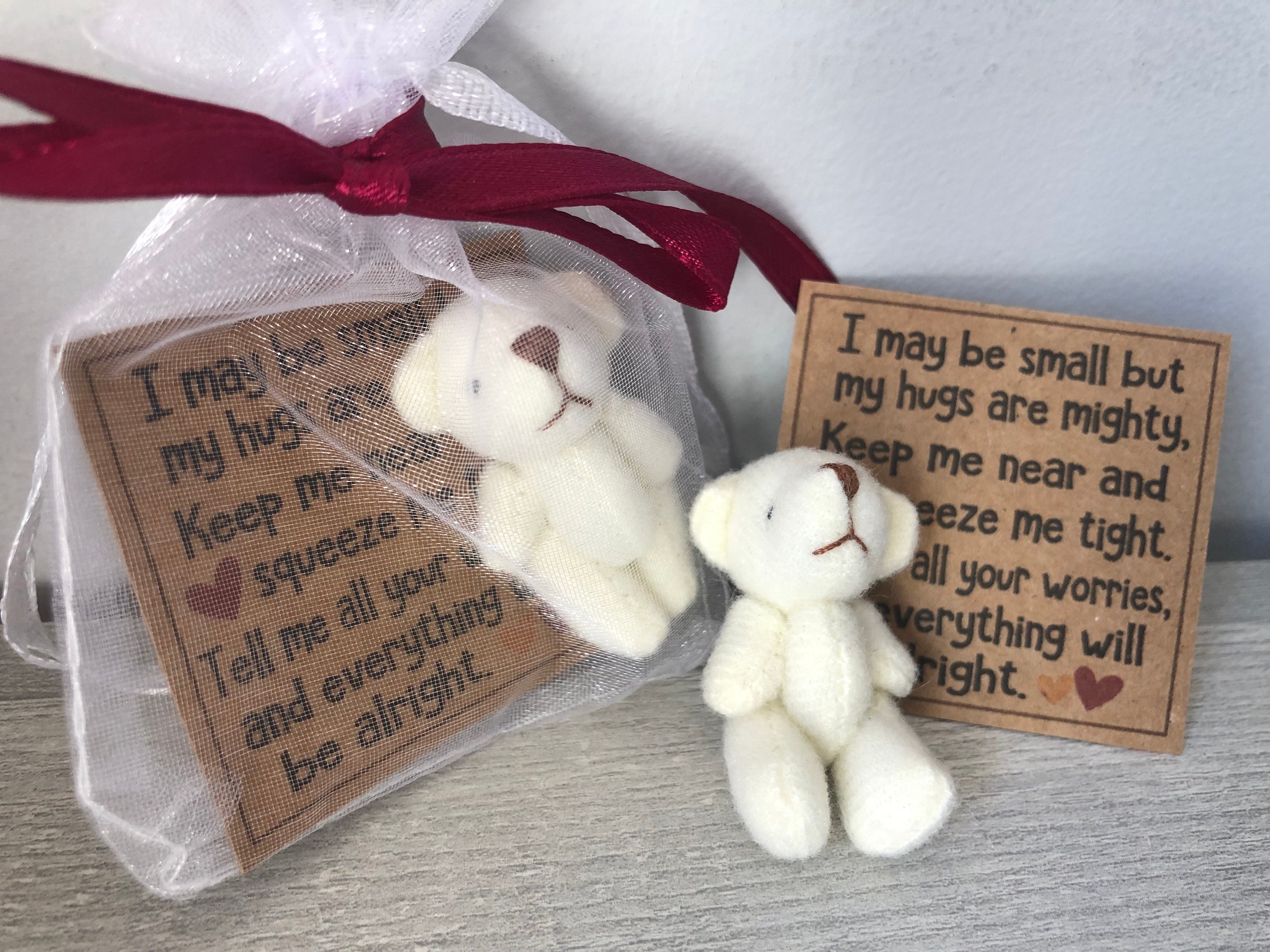 BEAR HUG gift bag - small - sweet thoughts gift, mom, friends, Teacher, gift for co workers, friend, Jointed tan plush stuffed bear gift bag