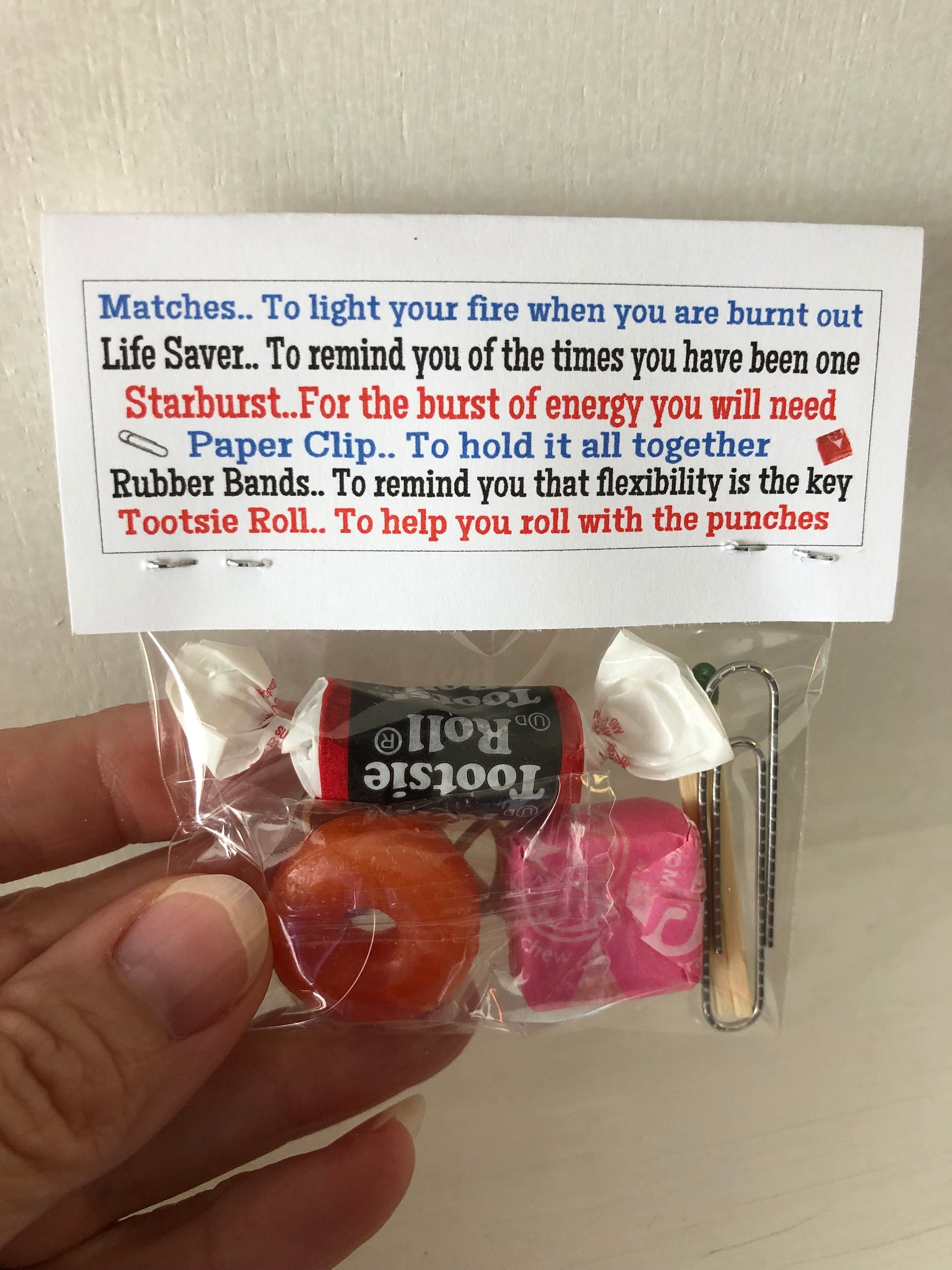 VET Tech's SURVIVAL KIT Funny Gag Gift Bags Silly Prank Etsy UK