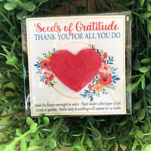 May include: A small packet with the text "Seeds of Gratitude" and "Thank You For All You Do". The packet features a red heart-shaped seed and floral illustrations. The packet is surrounded by green foliage.