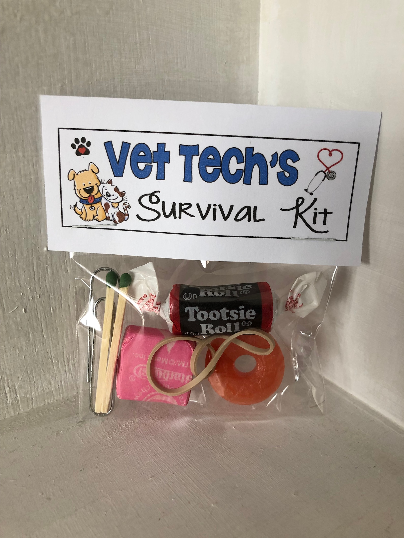 VET Tech's SURVIVAL KIT Funny Gag Gift Bags Silly Prank Etsy UK