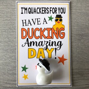 WCGXKO Enten-Liebhaber Make-up-Tasche – Mit Spruch „Don't Forget How Ducking Amazing You Are“, Wasserabweisend