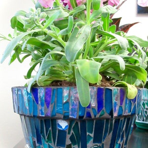 May include: A potted plant with pink flowers in a blue and green mosaic planter. The planter has a blue saucer.