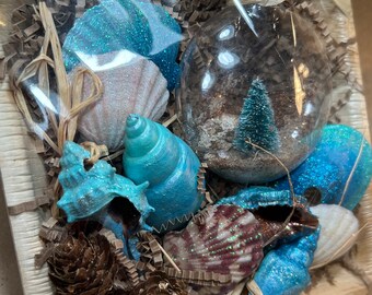 Seashell Ornament Gift Basket