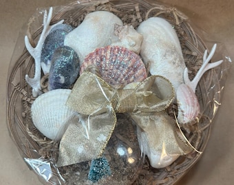 Seashell Ornament Gift Basket
