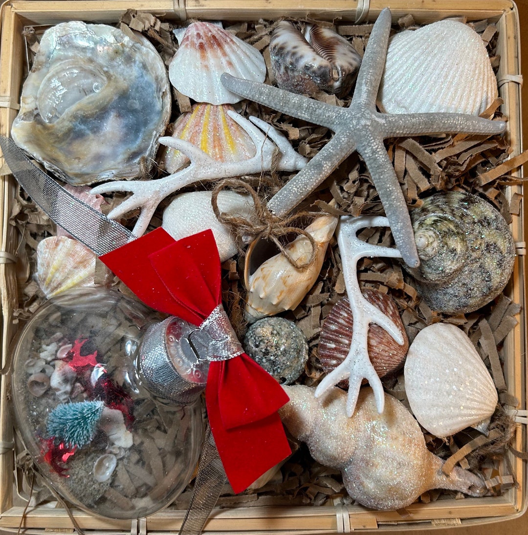 Seashell Ornament Gift Basket - Etsy