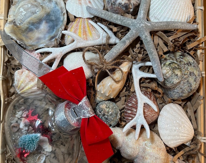 Featured listing image: Seashell Ornament Gift Basket