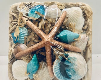 Seashell Ornament Gifts
