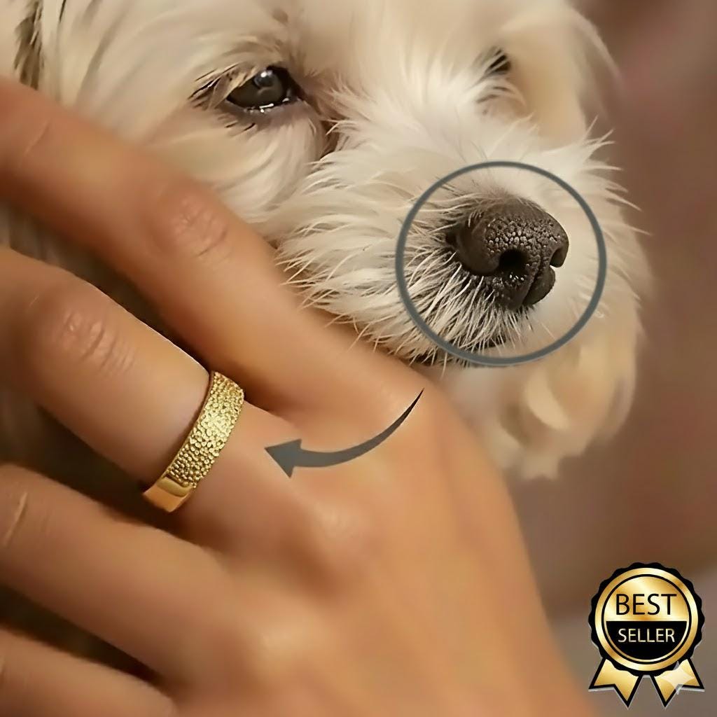 Bague Alliance Chipie Argent Fin Motif Chien - Taille 50 - Vintage Rétro