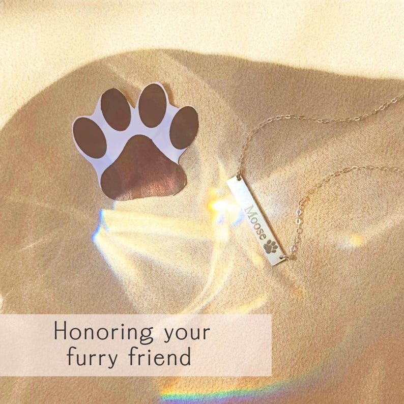 Pet memorial bar necklace engraved with a paw print and pet name, shown on warm sand with glowing light reflections and a large illustrated paw. Personalized dog name jewelry, engraved cat loss necklace, custom pet remembrance gift, in memory of pet keepsake for pet moms and animal lovers, sympathy gift for dog or cat loss, bar nameplate necklace with pet's name and paw print, layered pet tribute necklace, unique pet lover gift idea, handcrafted memorial for pet loss.