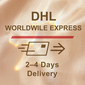 Actualización de envío mundial de DHL, Entrega internacional, Envío global de DHL Express, Opción de envío rápido para regalos y festividades Idea de regalo de Navidad