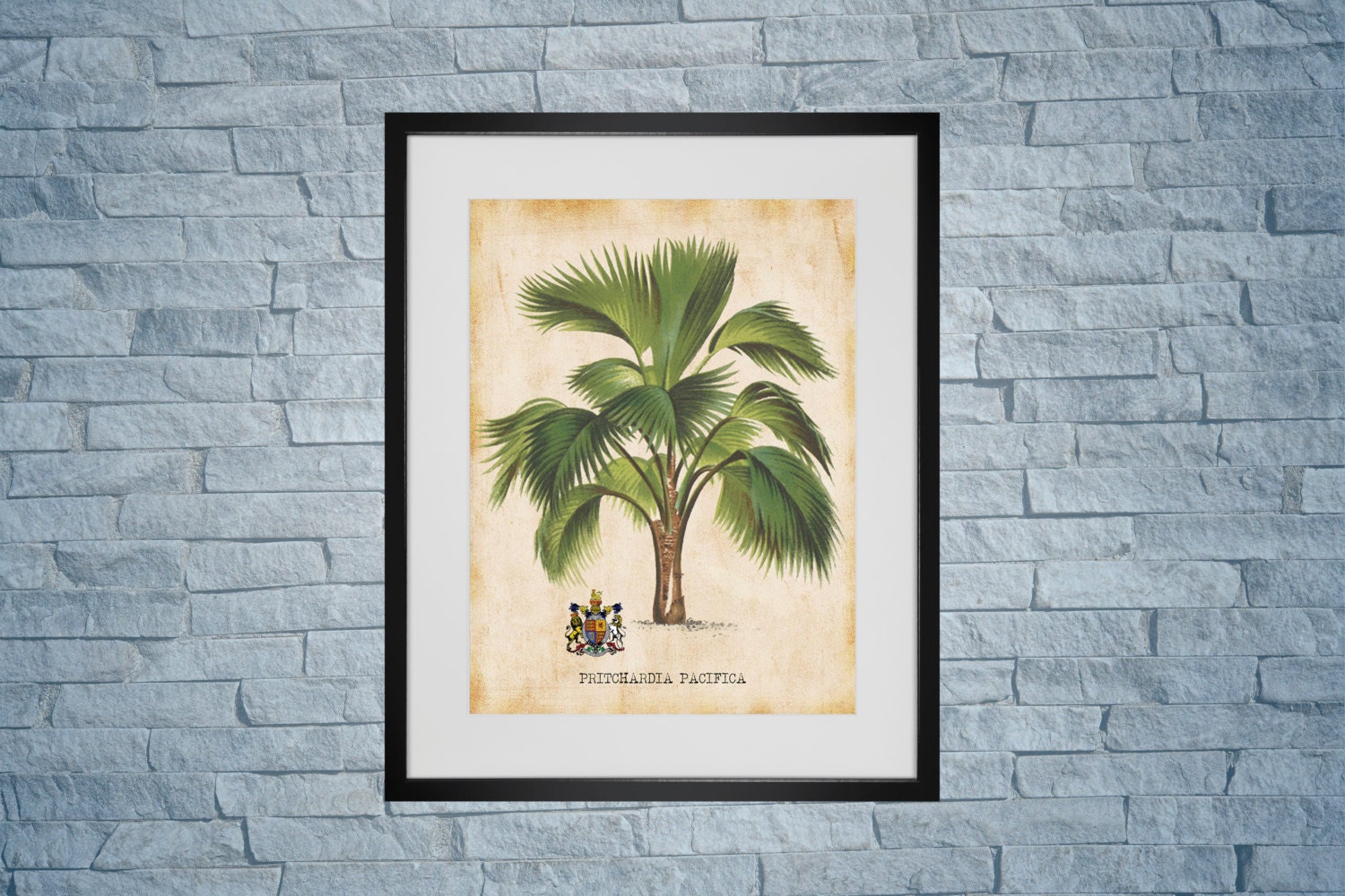 Palm Tree Art Print for You to Print 8