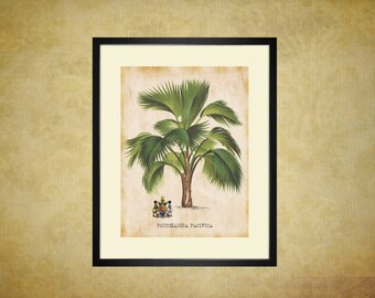 Palm Tree Art Print For You To Print 8" x 10" & 11" x 14" Antique Tropical Palms Wall Decor Botanical Print Picture Instant Download