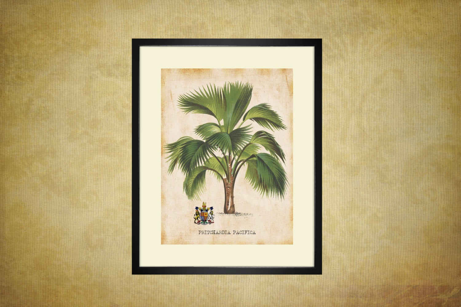 Palm Tree Art Print for You to Print 8