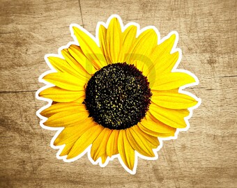 Daisy Yellow Cute Colorful Flower Sticker Flowers Decal 3.3" X 3.2" Hippie