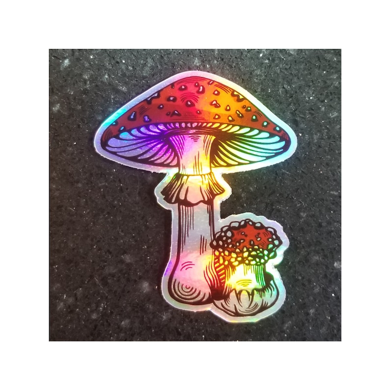 May include: A holographic sticker featuring two mushrooms. The larger mushroom has a red cap with white spots and a white stem. The smaller mushroom is red and white. The sticker has a shiny, iridescent finish.
