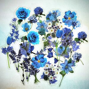 Blue Flower on a transparent background Sticker for Sale by ellenhenry