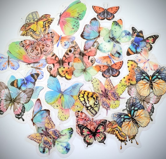 Butterfly Sticker – C7skates
