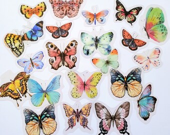Colorful Butterfly Stickers - Free Shipping – Butterfly Utopia