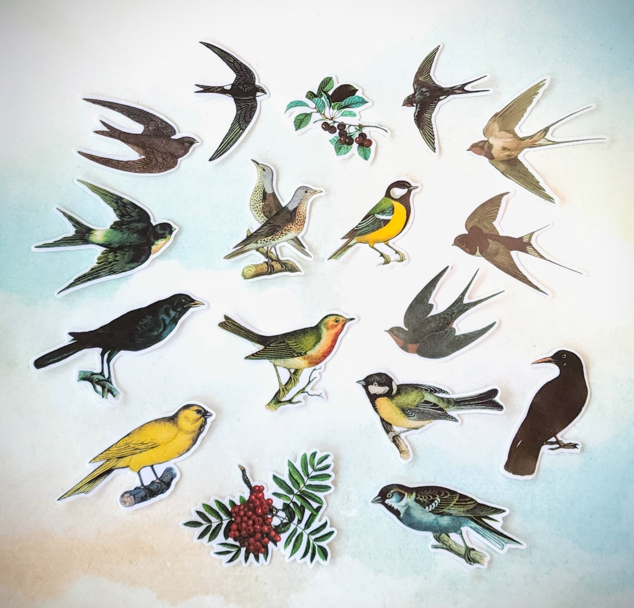 Vintage Style Variety Birds Sticker Set 16 Pcs for Planners Cards ...