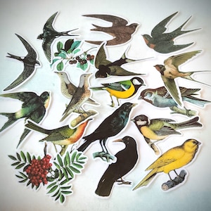 Vintage Style Variety Birds Sticker Set 16 pcs for Planners Cards Collage Journal Scrapbook and Paper Crafts
