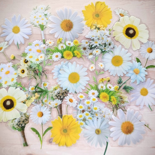 Variety Clear Plastic Daisies and Yellow Flower Stickers 40 pcs 1 1/4 to 2 1/4 inches tall for Cards Journals Scrapbooks and Paper Crafts