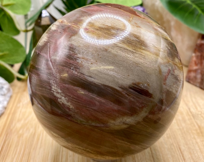 Petrified Wood Sphere Crystal PWS25 SME