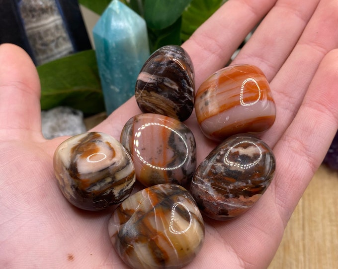 Tumbled Bamboo Leaf Agate Stones Set with Gift Bag and Note