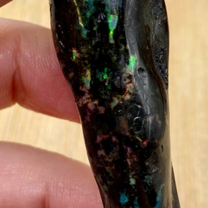 Indonesian Wood Opal stone crystal polished geode healing WOP2 SME24