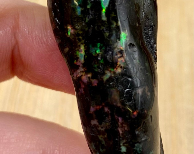 Indonesian Wood Opal stone crystal polished geode healing WOP2 SME24