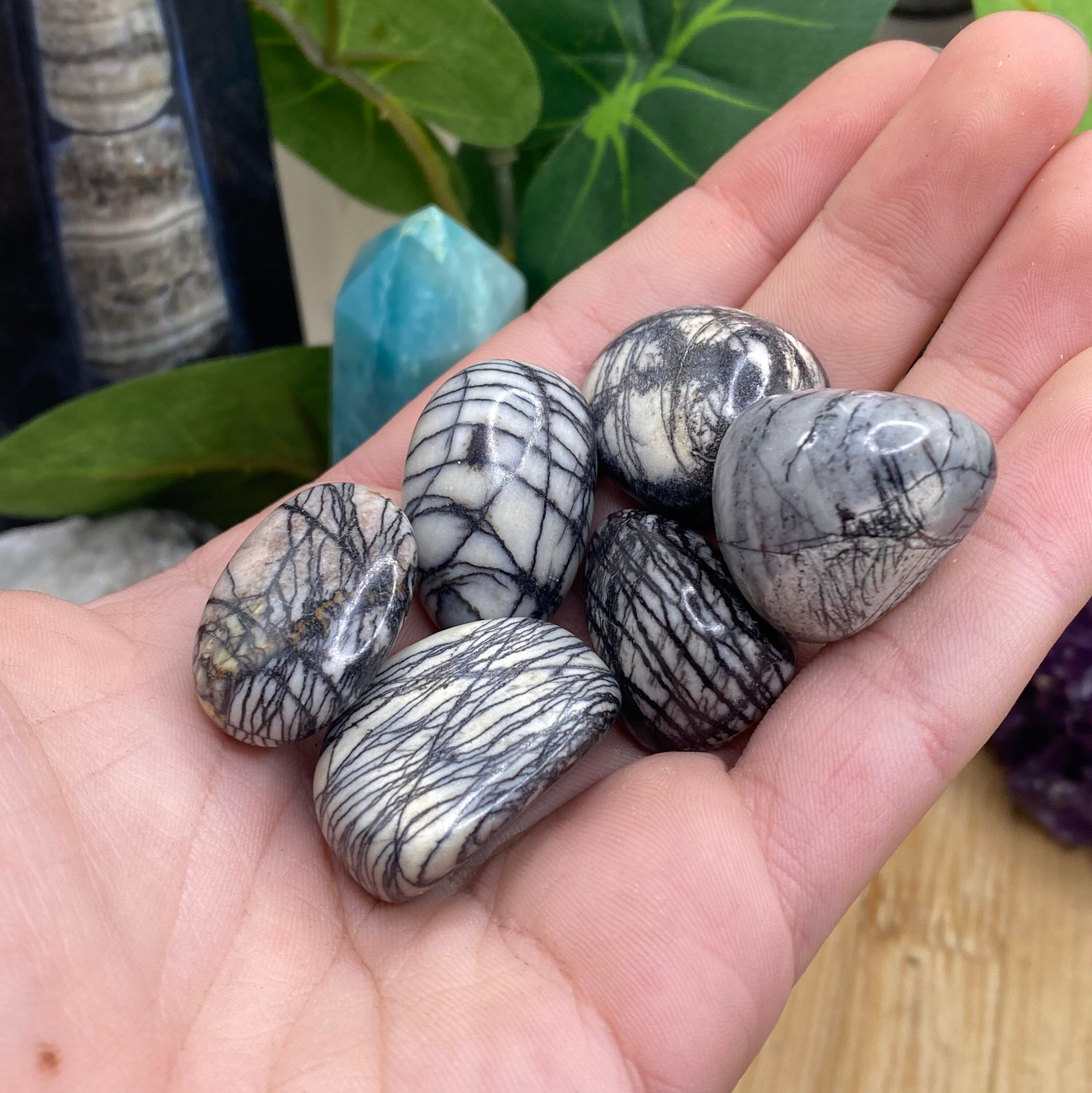 Tumbled Spider  Jasper Stones Set with Gift Bag and Note