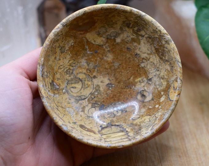 Marble Fossil bowl made in Pakistan offering ritual healing crystal geode stone MFBX