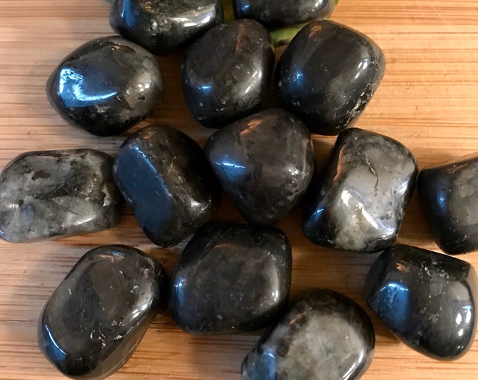 Tumbled Larvikite Stones Set with Gift Bag and Note