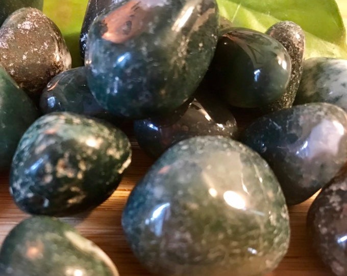 Tumbled Moss Agate Stones Set with Gift Bag and Note