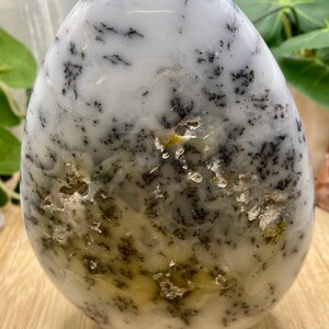 Dendritic Opal Free form sculpture altar stone crystal DENOPL10 SME24