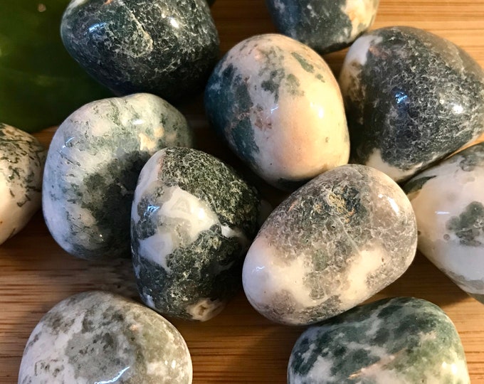 Tumbled Tree Dendritic Agate Stone with Gift Bag and Note