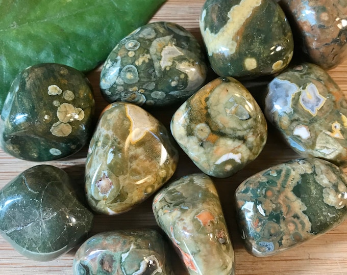 Tumbled Rhyolite Stone with Gift Bag and Note SME24