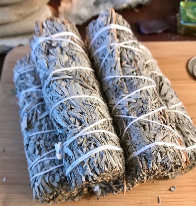One White and Blue Sage Stick Smudge Sacred Salvia - Etsy