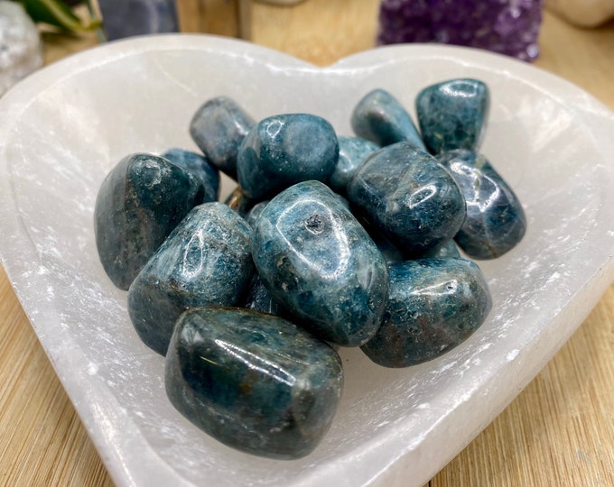 Tumbled Blue Apatite Stones Set with Gift Bag and Note