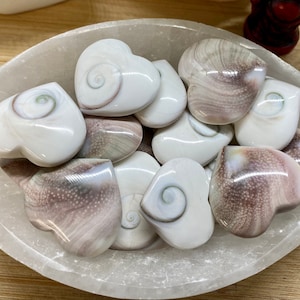 Heart Shivas Eye shell seashell crystal lord shiva