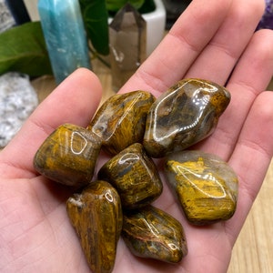 Tumbled Lion Skin Jasper Stone with Gift Bag