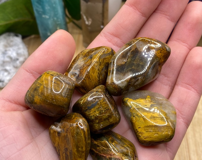 Tumbled Lion Skin Jasper Stone with Gift Bag