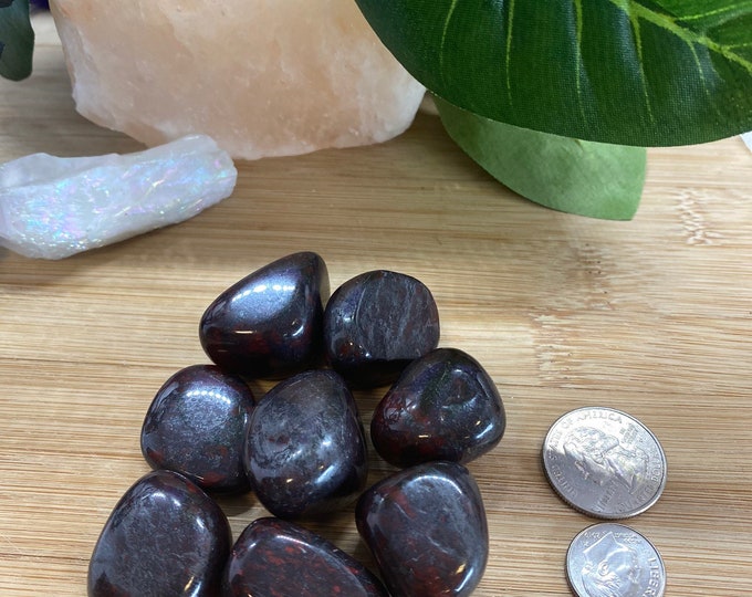 Jasper Hematite  Tumbled Stones Set with Gift Bag and Note