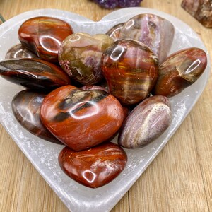 Tumbled Petrified Wood Hearts SME24 BB