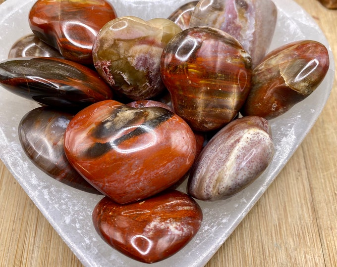 Tumbled Petrified Wood Hearts